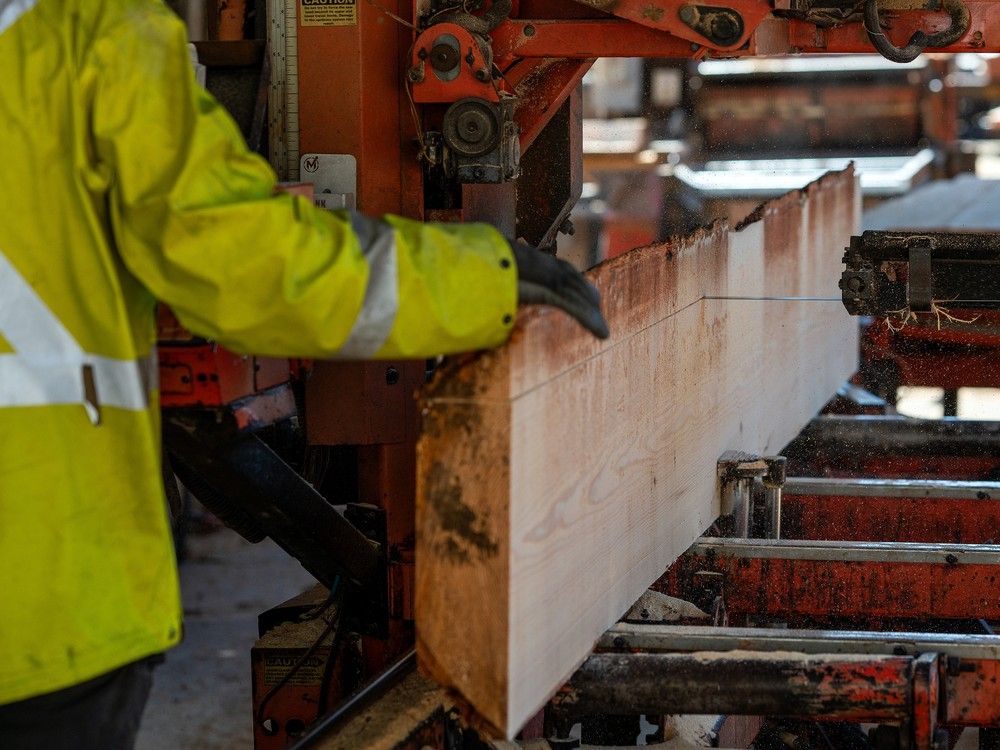 A worker cuts lumber at a saw mill near Sooke, B.C.. The softwood lumber industry has seen a unique pattern emerge, where Canadian firms own a large chunk of U.S. production capacity — something President Donald Trump says he wants — and still face aggressive trade measures.