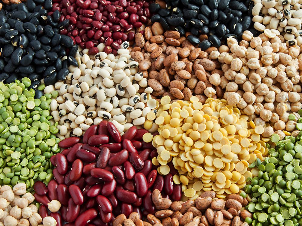 NextImg:Why beans can be hard to digest, and what a Sask. researcher is doing about it