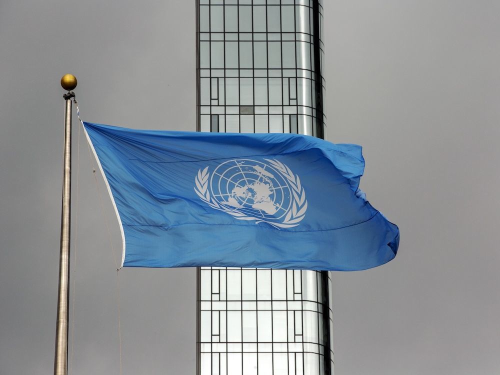 NextImg:MIchael Higgins: Sex is real. Even the UN thinks so
