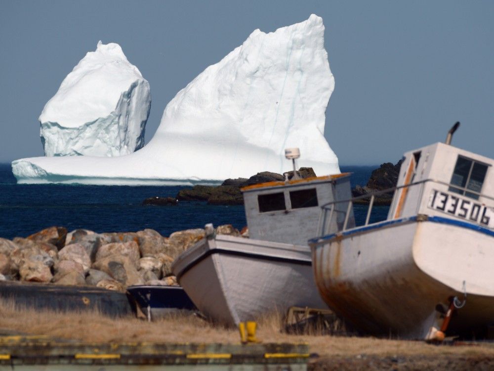  A huge iceberg grounded off the coast of Newfoundland in 2023. (Keith Gosse/The Telegram)