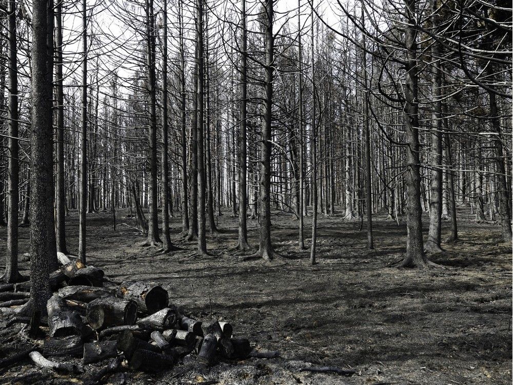 NextImg:Nova Scotia’s Annapolis Valley rallying to help residents who lost homes to fire