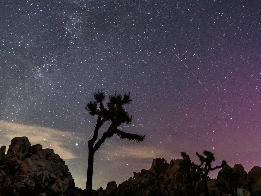 NextImg:How to view the Perseid meteor shower that’s lighting up Canadian skies with shooting stars
