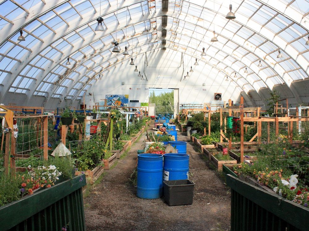 NextImg:Jamie Sarkonak: DEI gardening — the new Liberal priority for agriculture