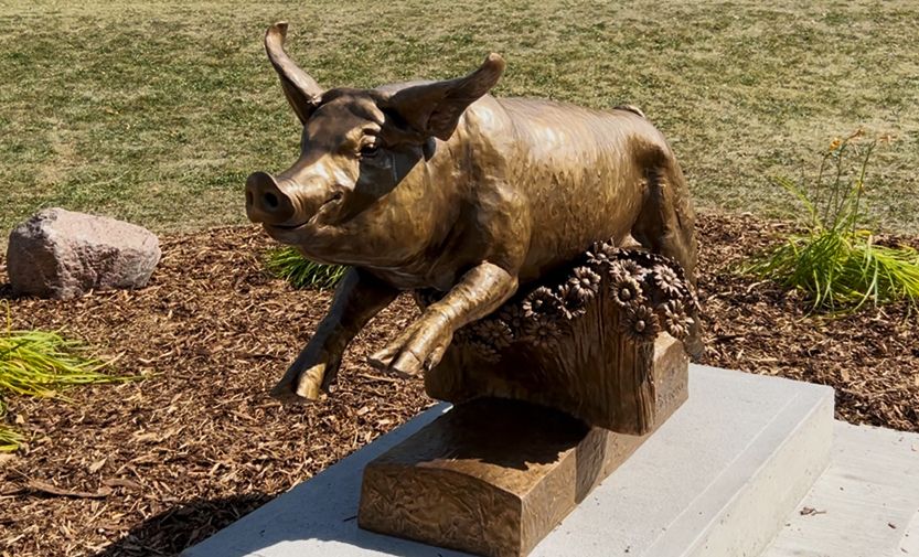 NextImg:Alberta city unveils new statue honouring Francis, the pig that escaped a slaughterhouse
