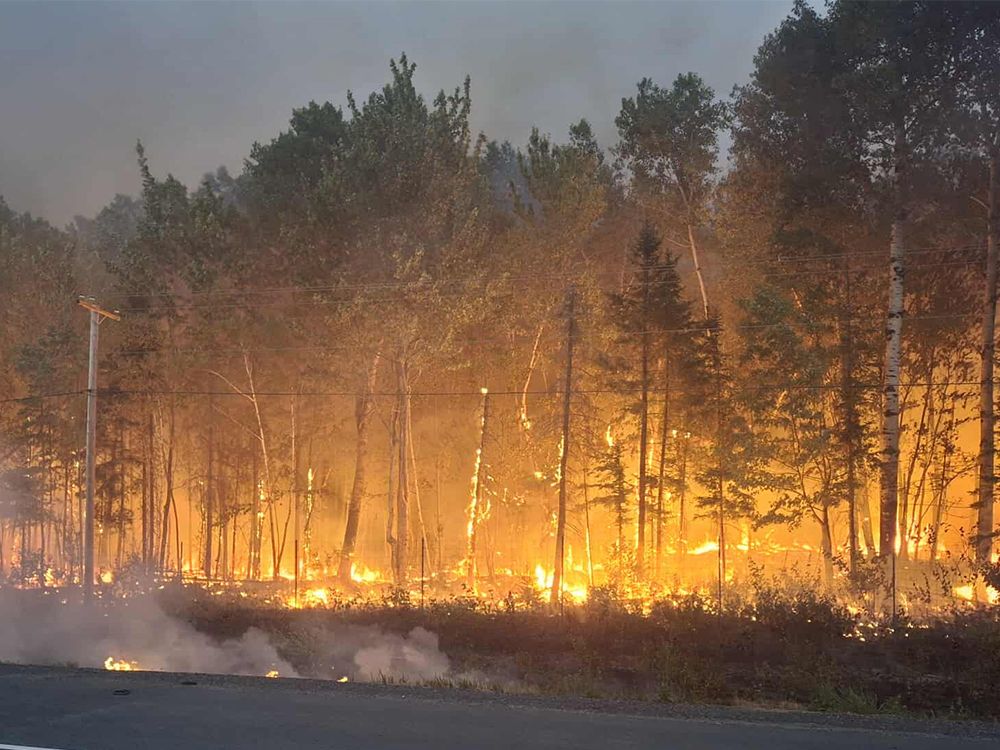 NextImg:Letters: Liberty versus wildfire risk and other burning issues