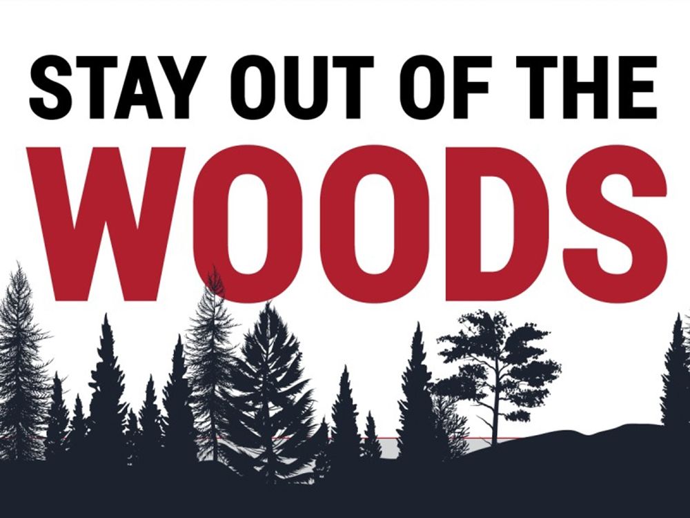 NextImg:'Outside is a privilege, not a right': The imagined thoughts of the Nova Scotia wilderness ban