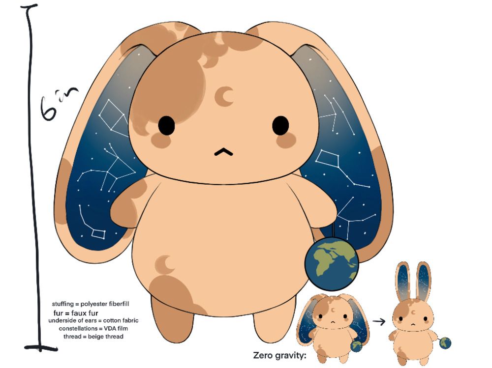 Lepus the Moon Rabbit is the creation of students from Oakville Trafalgar High School. It's one of three Canadian finalists in a contest to send a plushie to the moon. 