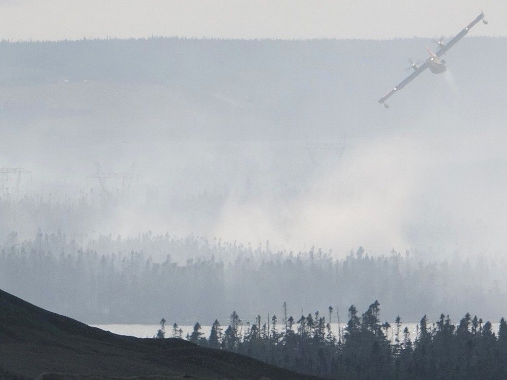 NextImg:Largest wildfire in Newfoundland has destroyed up to 100 homes: officials