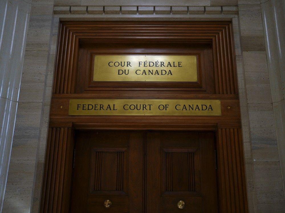 NextImg:Wife's ADHD cited by Federal Court in reasons for delaying deportation of man from India