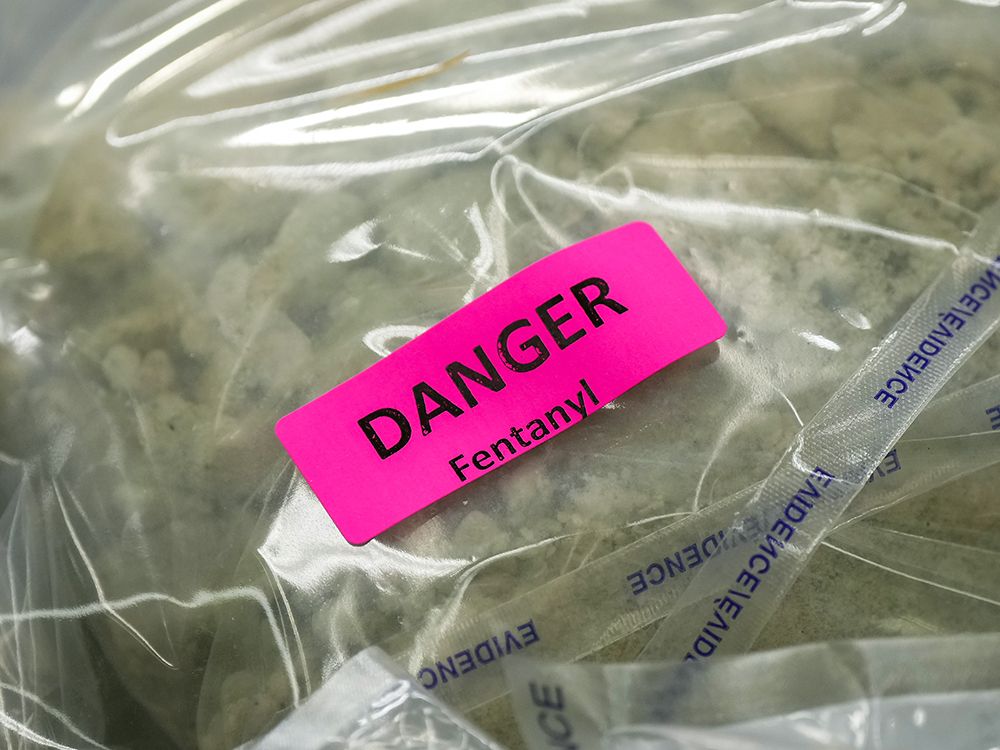 Since U.S. President Donald Trump first alleged earlier this year that fentanyl was “pouring” into the U.S. from its northern neighbour, Canada has taken a number of steps to combat the flow of illegal drugs.