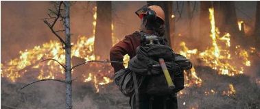 NextImg:NFB documentary shares devastating images of Canada's wildfires