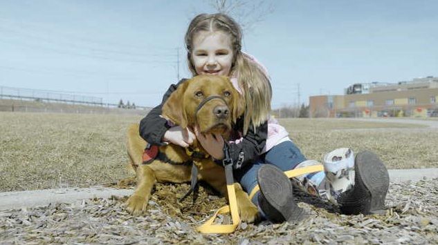 NextImg:TV show celebrates bond between children and service animals