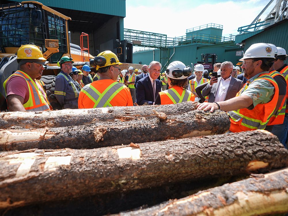 NextImg:U.S. more than doubles Canadian softwood duties, starting immediately