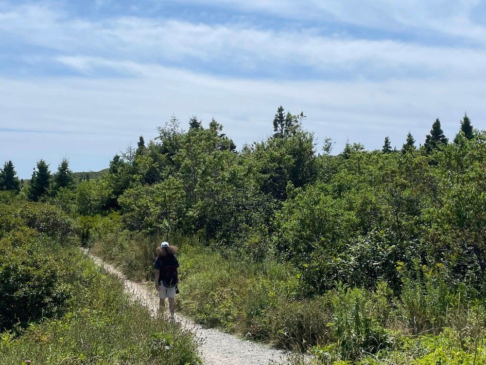 A man hikes along a trail at Crystal Crescent Beach on Thursday. There has been some confusion about where people can and can't go following the Nova Scotia government's ban on travel and activities in the woods due to dry conditions.