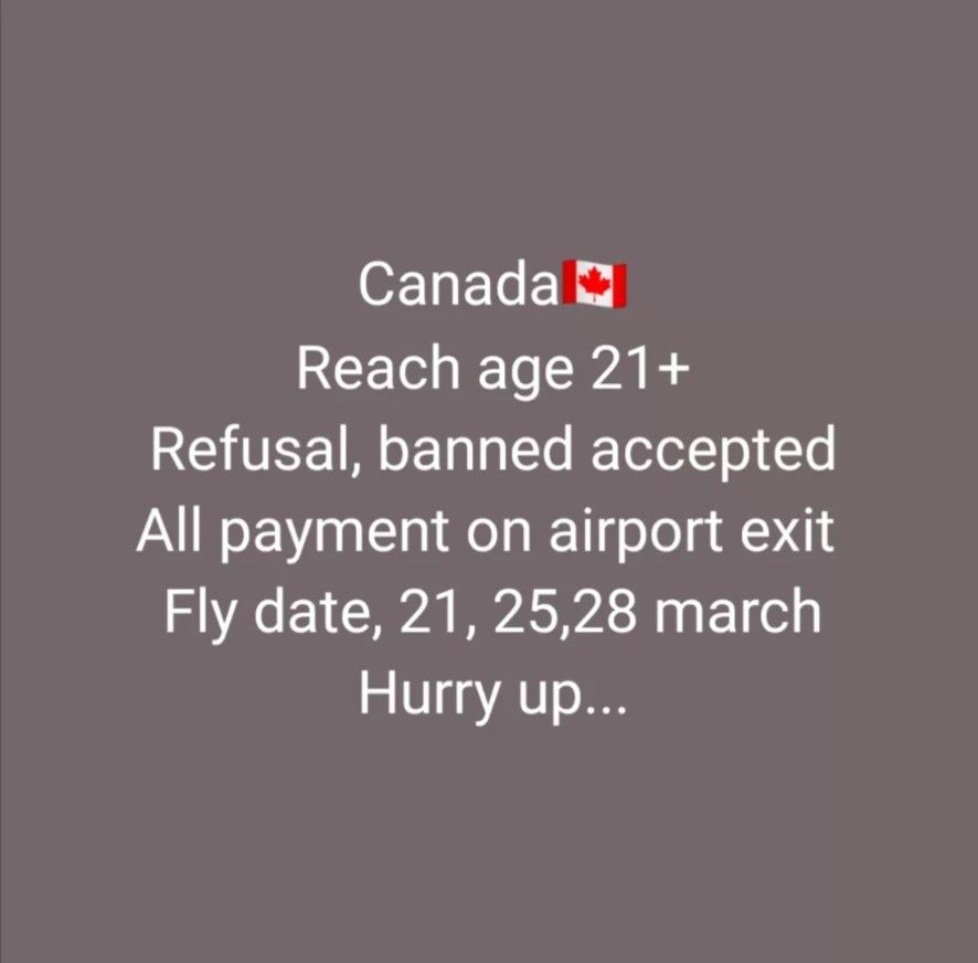  A screengrab of an online ad selling smuggling services into Canada.