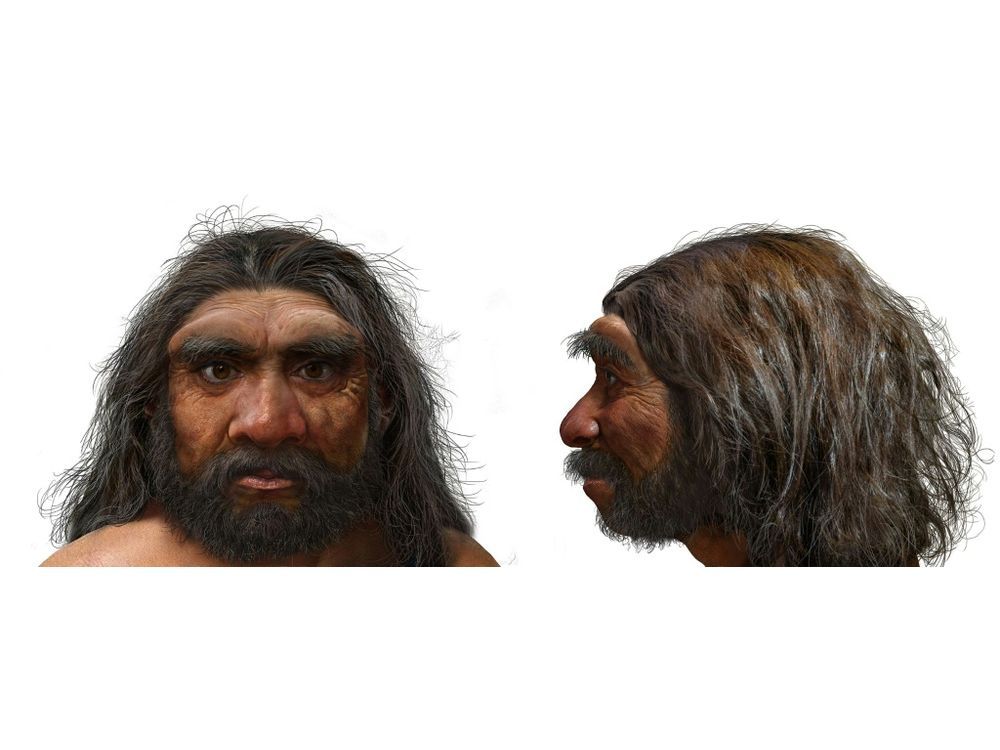 NextImg:Million-year-old skull could change human evolution timeline