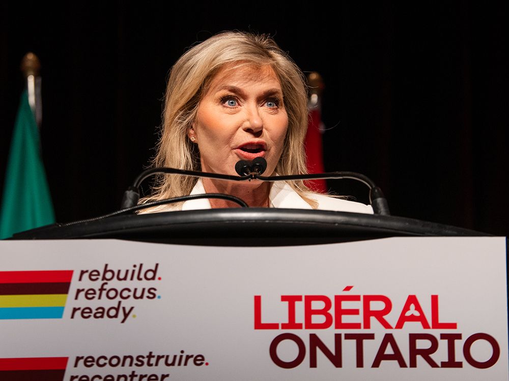 NextImg:Chris Selley: If not Bonnie Crombie, then who do Ontario Liberals consider electable?