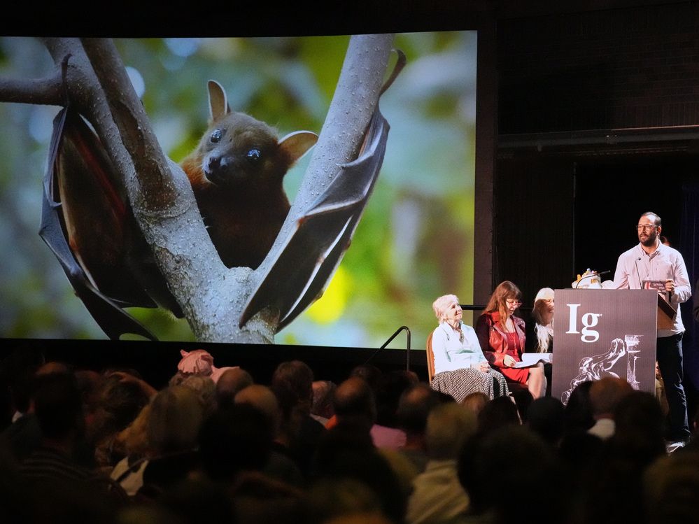 NextImg:Ten Ig Noble prizes awarded, most for research involving food and alcohol