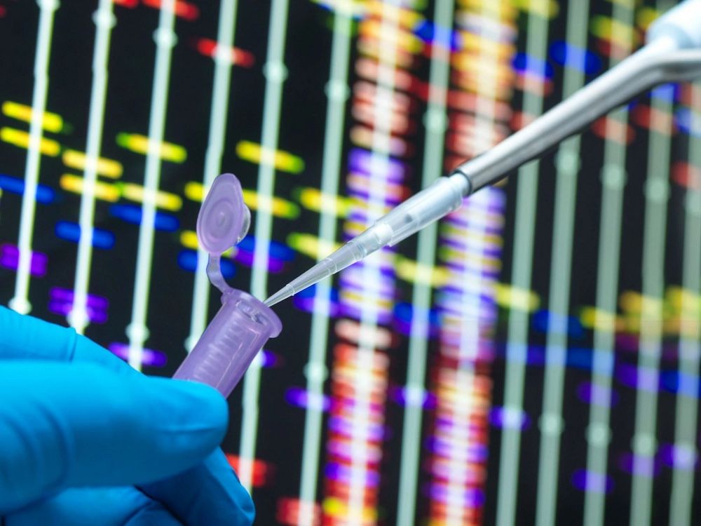 NextImg:Gad Saad: The Cult of diversity, inclusion, and equity destroys science
