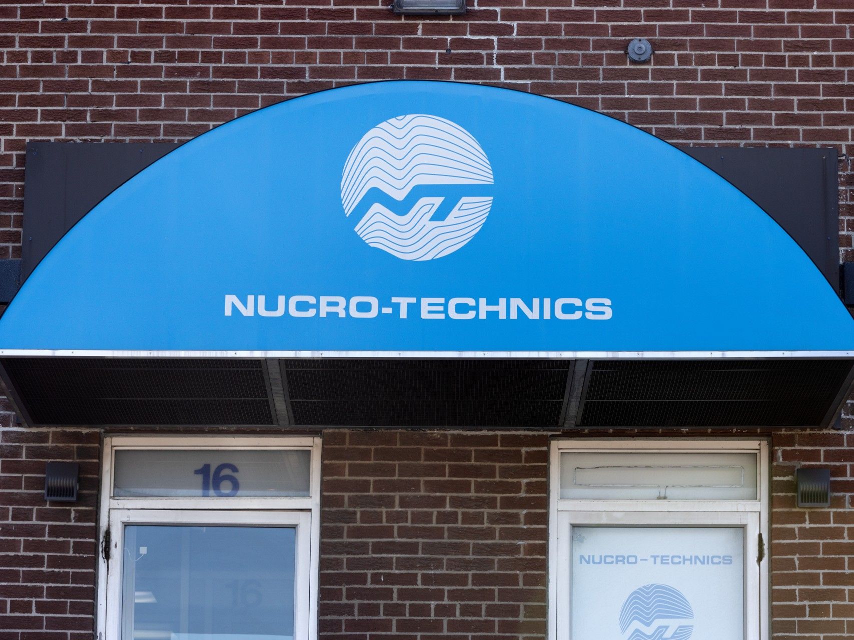 NextImg:Numerous dogs 'humanely sacrificed' as test subjects at private lab in Toronto area
