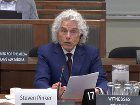 Canadians should thank Steven Pinker for denouncing DEI in Parliament ...