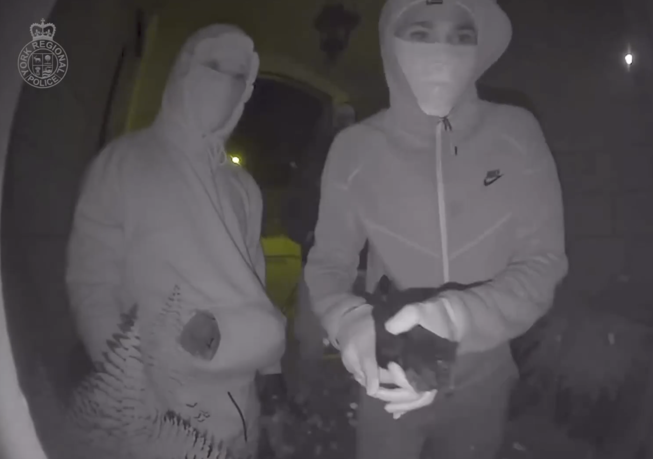 NextImg:Video shows attempted invasion home invasion in Vaughan, Ont.