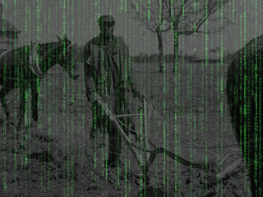 NextImg:Barry Appleton: Canada has become a nation of digital sharecroppers