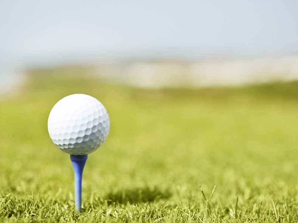 NextImg:Canadian father shot dead in the U.S. during a golf trip: reports