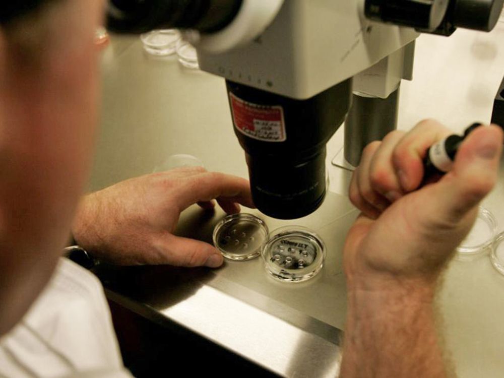 NextImg:Scientists turn human skin cells into fertilizable eggs for first time