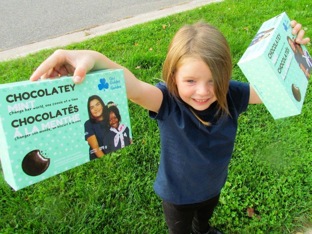 NextImg:Scammers pretending to sell Girl Guide cookies prompt consumer warnings in B.C. and Ontario