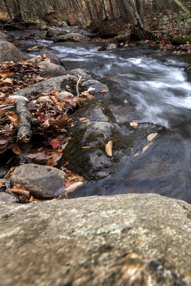 Feds ‘covered up’ toxic chemicals in the water in this Ontario city for 5 years Feds ‘covered up’ toxic chemicals in the water in this Ontario city for 5 years