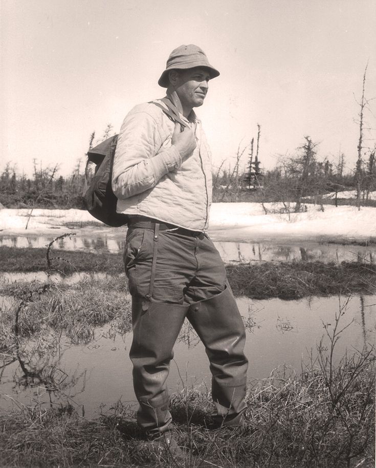 Dr. Harold Hanson conducting waterfowl field research in the 1960s.