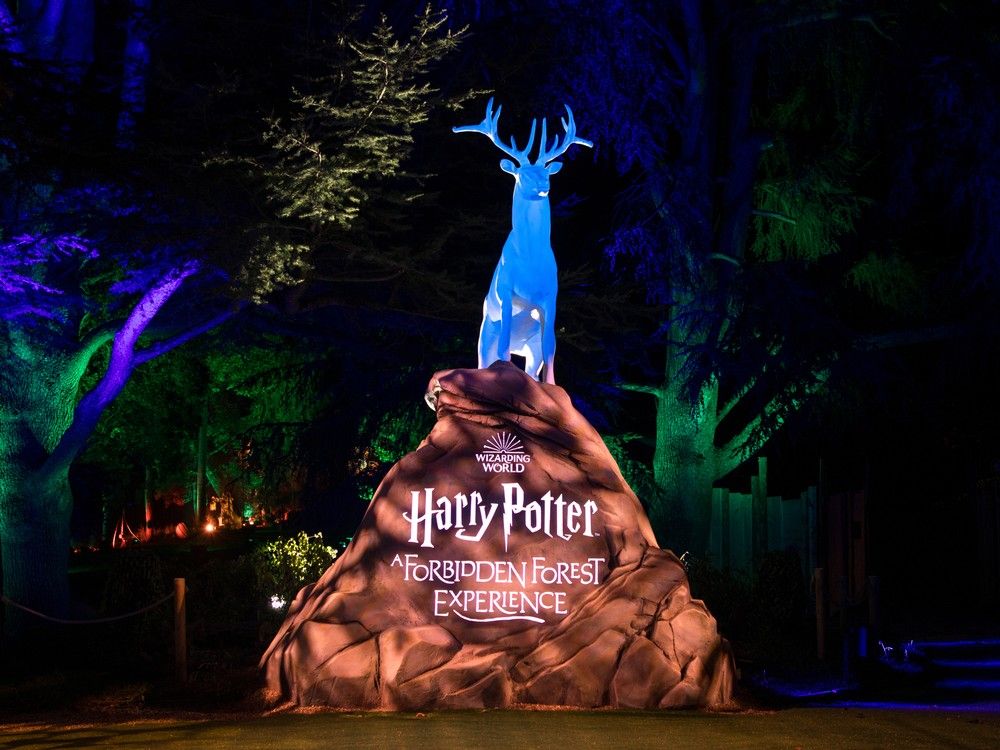 NextImg:Michael Higgins: J.K. Rowling versus Canadian zealotry