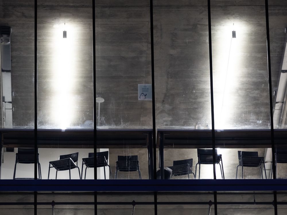 Canada issued 9,995 permits to Indian students from Jan-Aug — compared to 76,930 last year