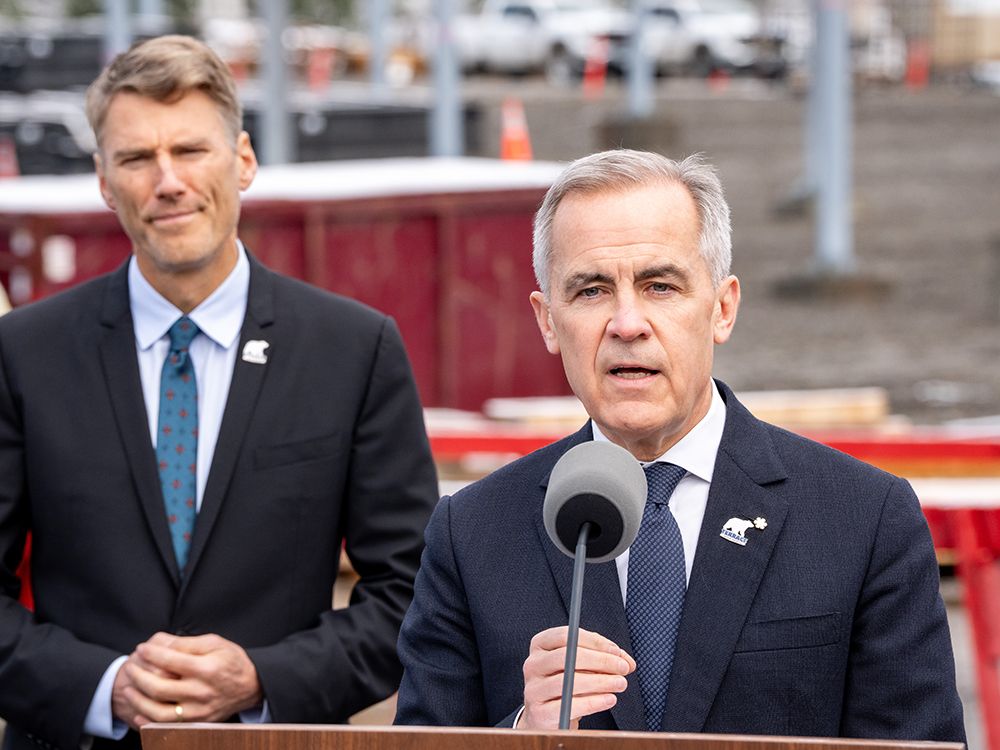 Evidence from the second tranche of mining and infrastructure ventures is that considerations other than economic payback were prioritized.