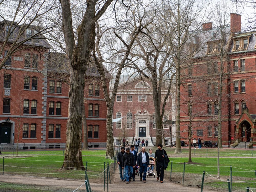 A new study from a top U.S. university finds 8.5% of freshmen can't do middle school math.