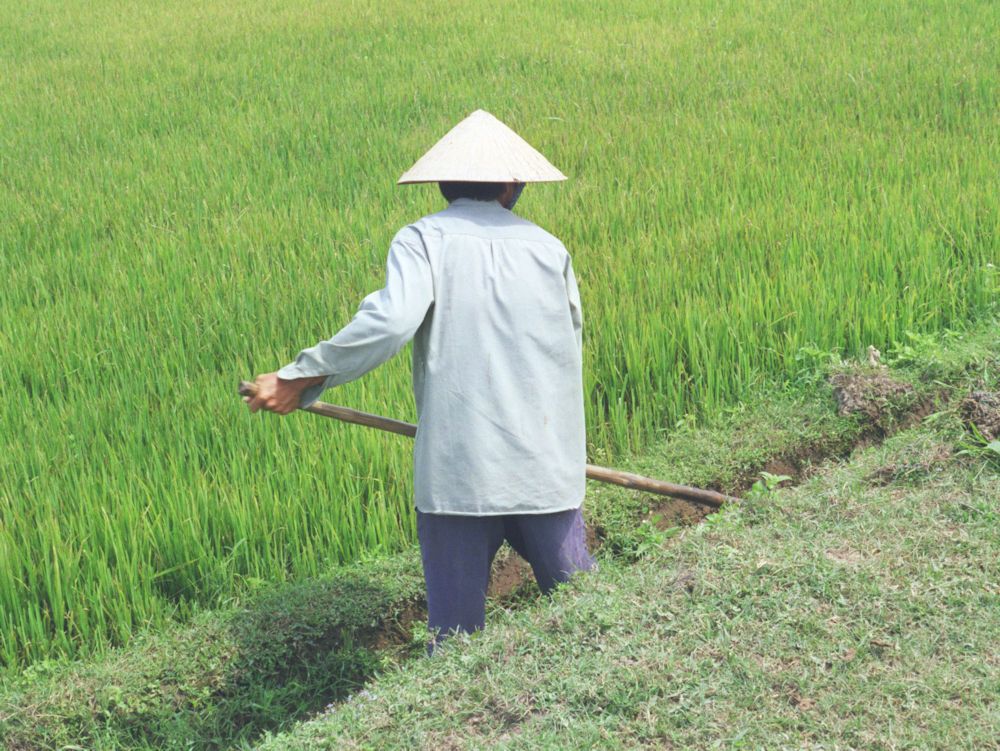 FIRST READING: The hundreds of millions Canada is still spending on 'gendered' foreign aid