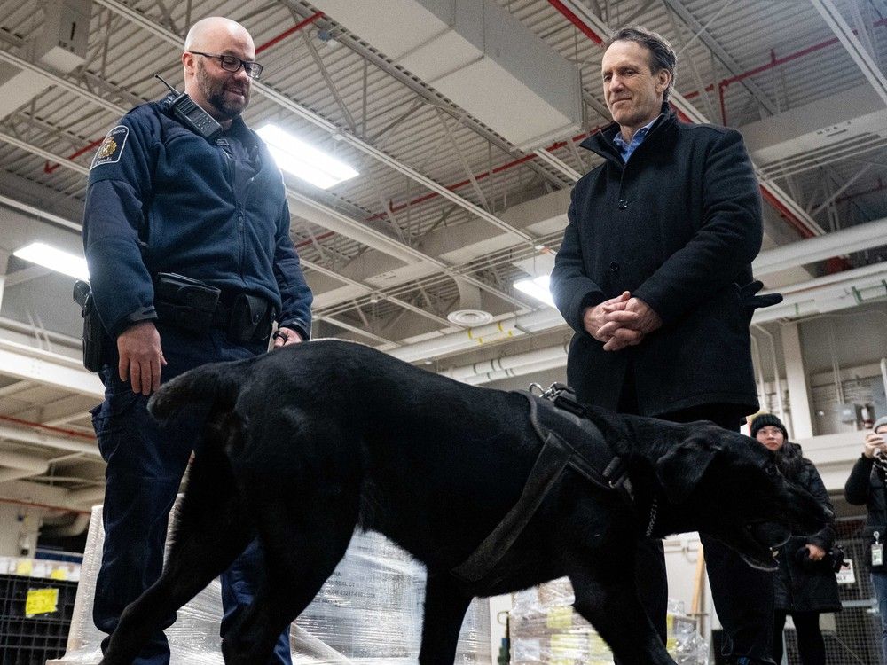  Canada’s fentanyl czar Kevin Brosseau, right, is seen with Denver, a Canada Border Services Agency narcotics detection dog during a tour of the CBSA Lansdowne port of entry in Lansdowne, Ont., on Wednesday, Feb. 12, 2025.