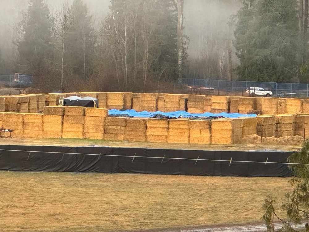Tarpaulins cover objects on the ground inside a holding pen at Universal Ostrich Farms near Edgewood, B.C., on Friday. Tarpaulins cover objects on the ground inside a holding pen at Universal Ostrich Farms near Edgewood, B.C., on Friday.