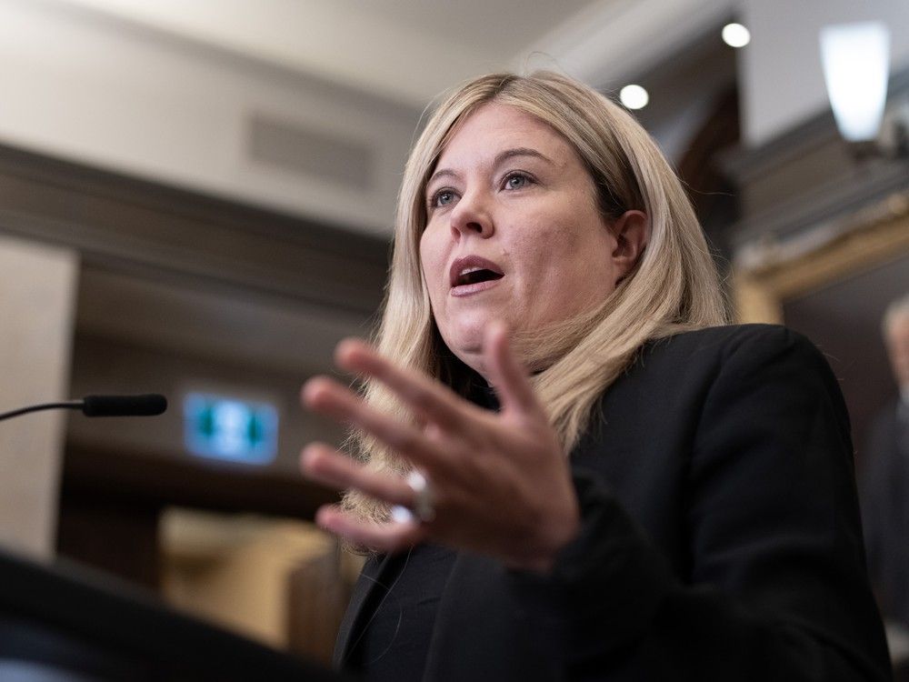 Conservative MP Michelle Rempel Garner holds a news conference in Ottawa, Friday, Feb.21, 2025.