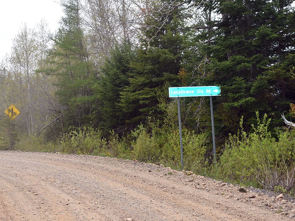  Dense woods near where missing children Lilly and Jack Sullivan were living in Lansdowne Station, Nova Scotia.