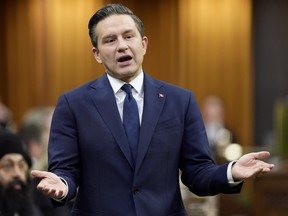 pierre poilievre