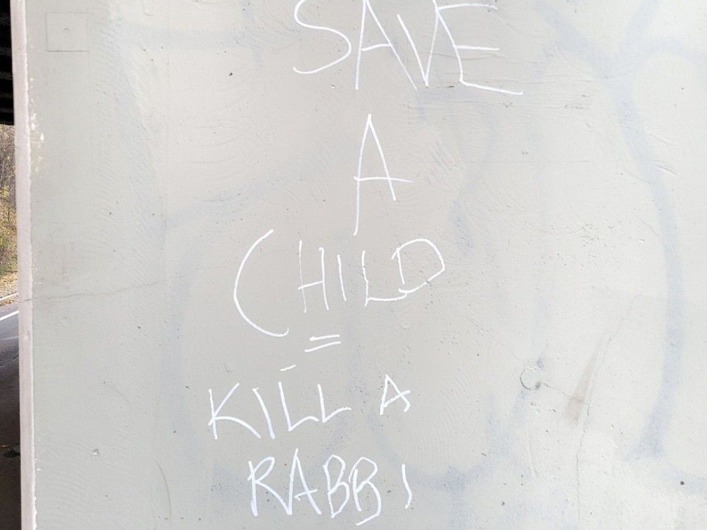  A Toronto resident took a photo of antisemitic graffiti discovered in her west end neighbourhood in November 2025.