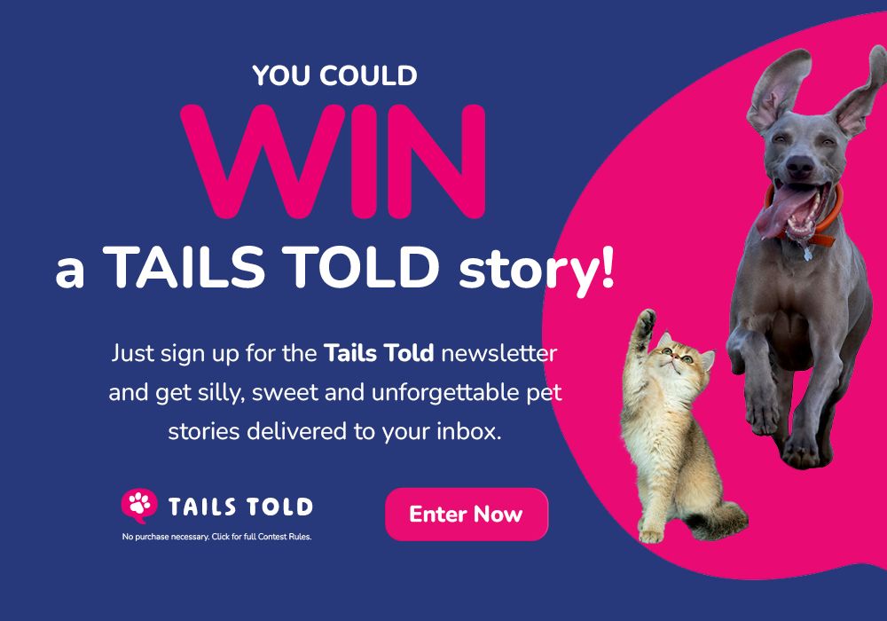 Tails Told contest