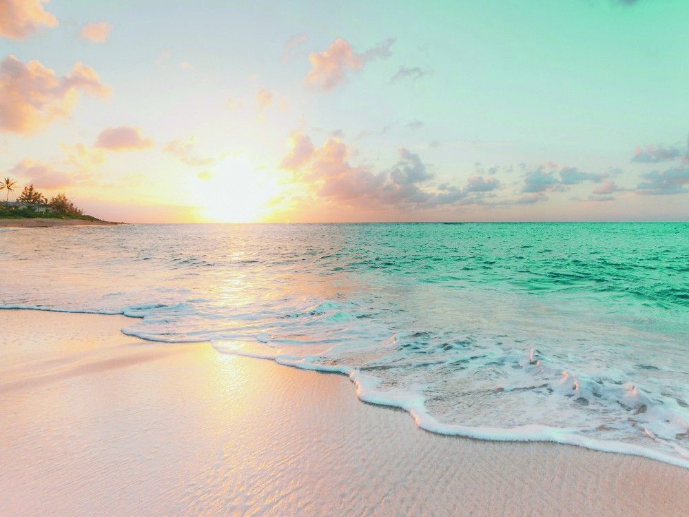 Canadians vacationing at popular Cancun resort hit hard by vomiting, cramps and diarrhea