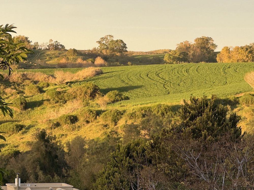 Vivian Bercovici: As Trump weighs ‘limited’ strike on Iran, Israelis attempt normal weekend