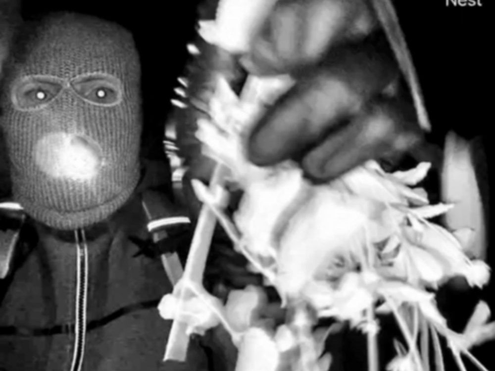 Nancy Guthrie suspect