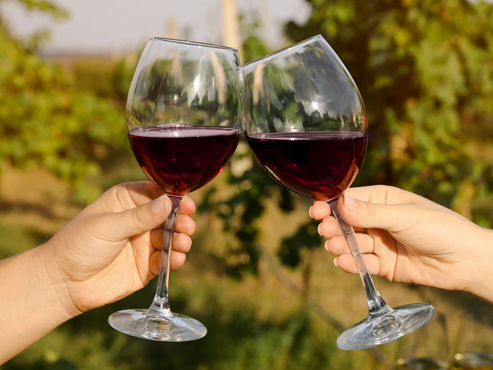 'Explosive growth': Canada's wine regions are thriving thanks to Trump's trade war
