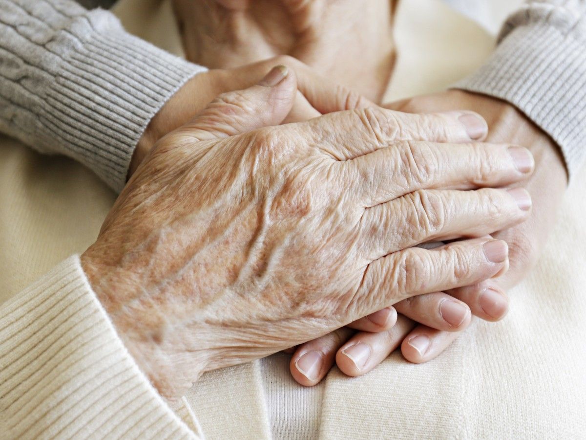 What Earth’s longest-lived animals can teach us about aging better