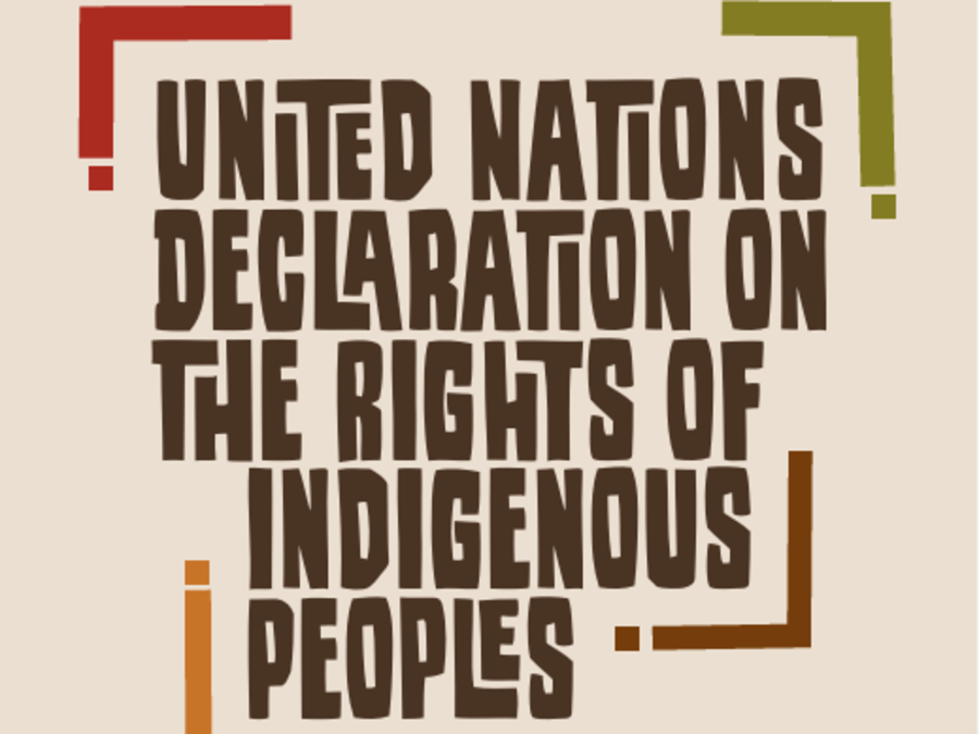 UNDRIP